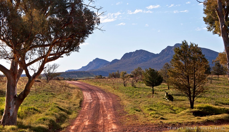 Australia South Australia/Flinders, Wilpena Pound, , Walkopedia