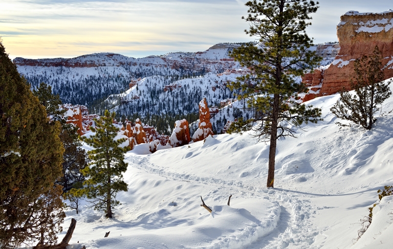 A Path in the Snow (Bryce Canyon National Park) - ©Mark Stevens flickr user