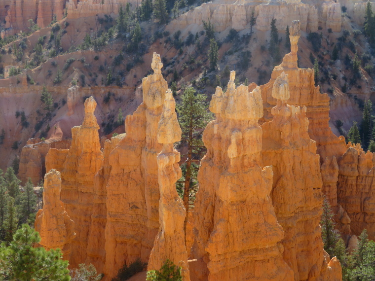 USA SW: Bryce Canyon, Bryce Canyon, , Walkopedia