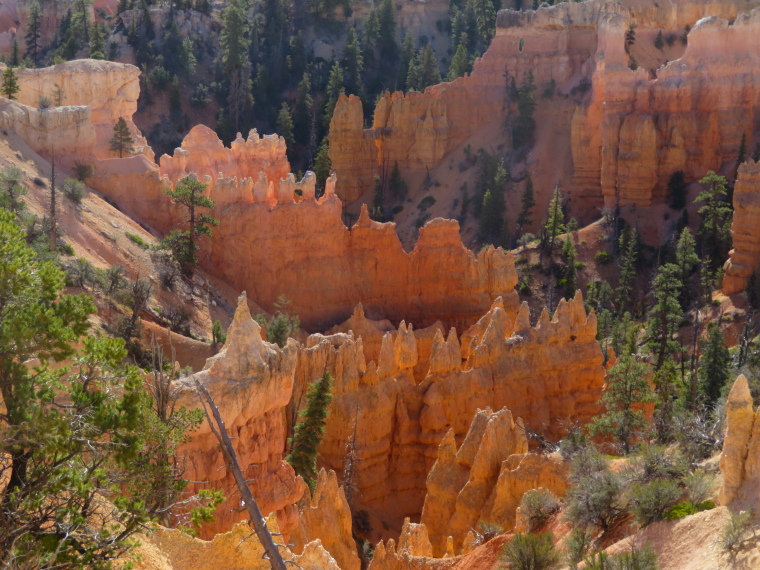 USA SW: Bryce Canyon, Bryce Canyon, Intense hoodoos, Fairyland Loop, Walkopedia