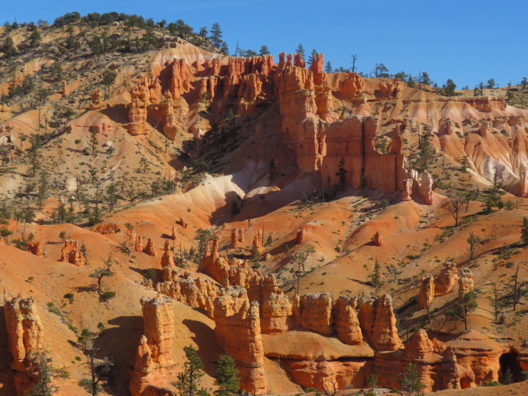 USA SW: Bryce Canyon, Bryce Canyon, , Walkopedia