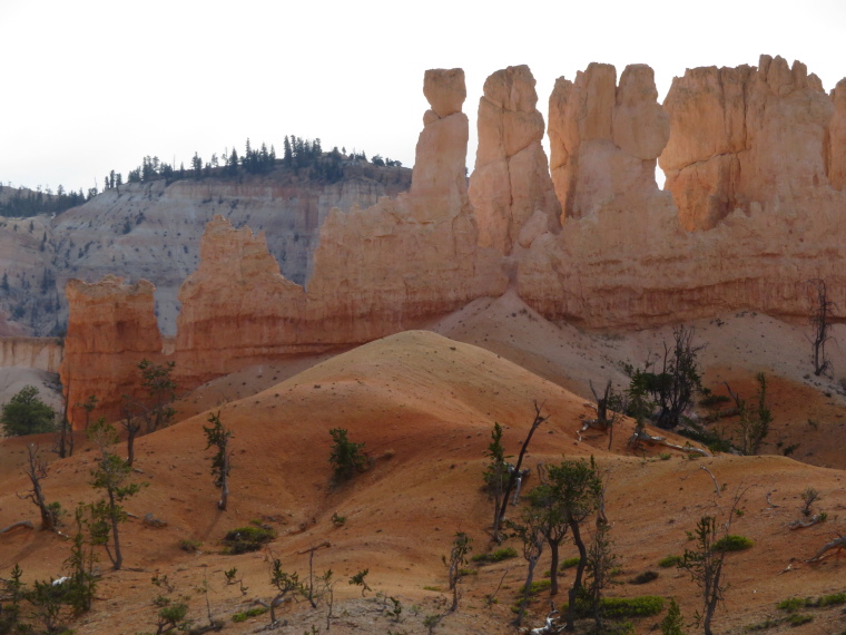 USA SW: Bryce Canyon, Bryce Canyon, , Walkopedia