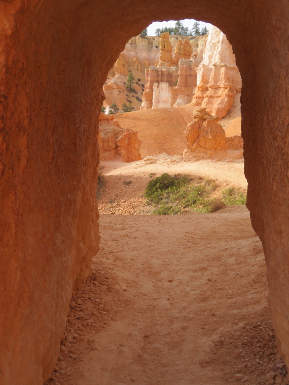 USA SW: Bryce Canyon, Bryce Canyon, , Walkopedia