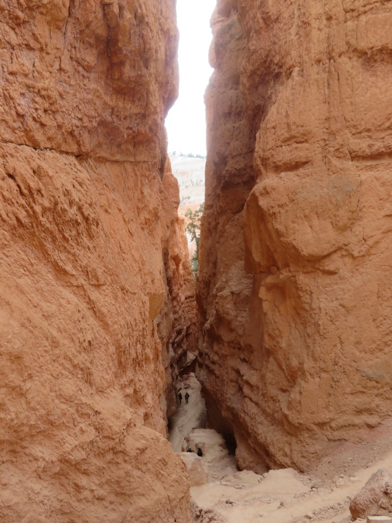 USA SW: Bryce Canyon, Bryce Canyon, Wall St, Walkopedia