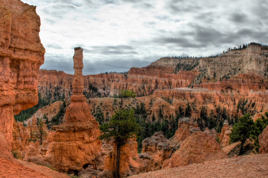 USA SW: Bryce Canyon, Peekaboo Trail, , Walkopedia