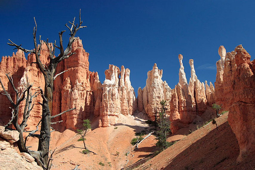 USA SW: Bryce Canyon, Peekaboo Trail, Hoodoos from the Peekaboo Loop Trail , Walkopedia