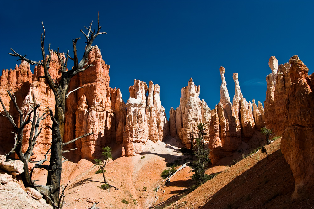 USA SW: Bryce Canyon, Peekaboo Trail, Strange Landscape, Walkopedia