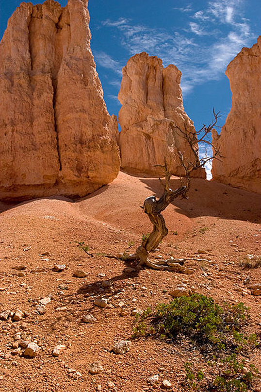 USA SW: Bryce Canyon, Peekaboo Trail, Surrounded by Hoodoos - Bryce Canyon National Park , Walkopedia