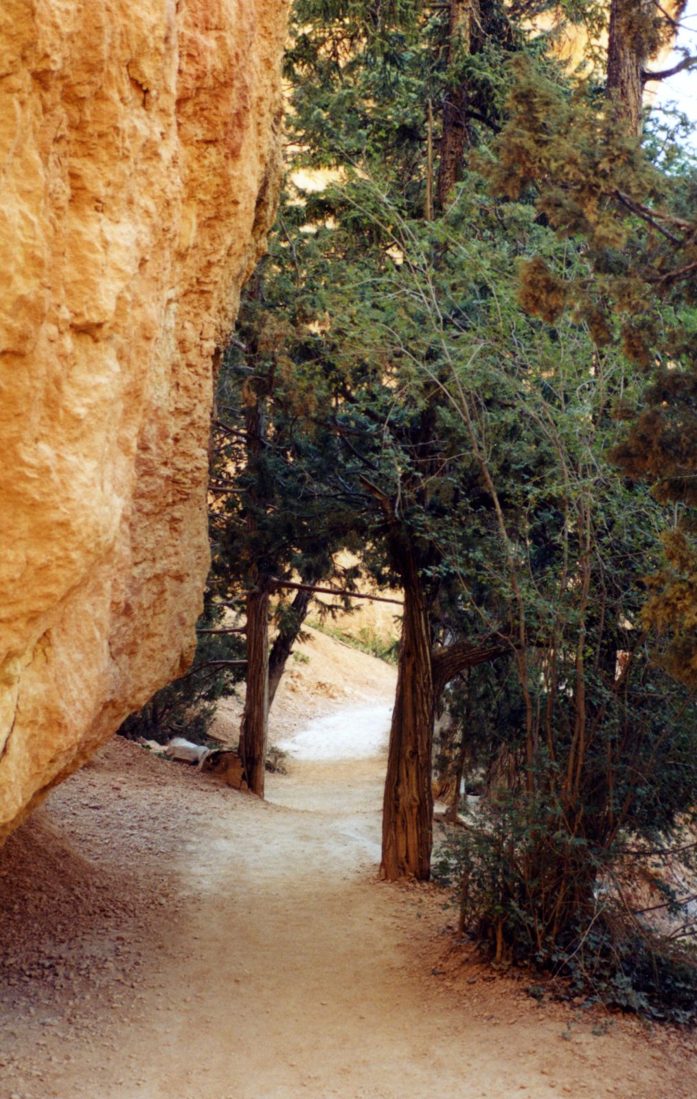 USA SW: Bryce Canyon, Peekaboo Trail, Trail between the trees , Walkopedia