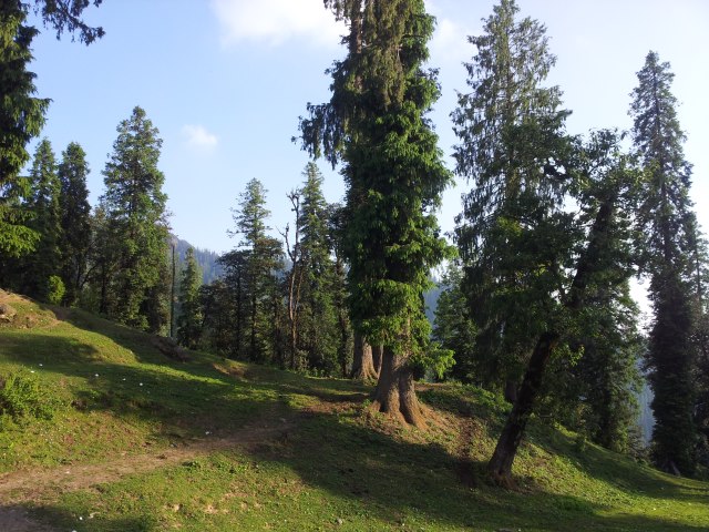 India NW:Himachal Pradesh, Tarik La , Kinnaur, Walkopedia