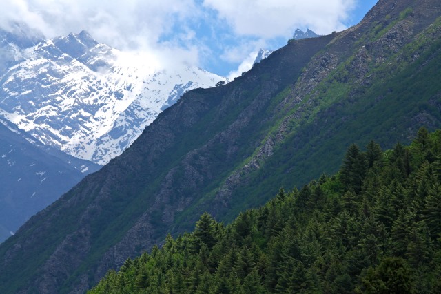 India NW:Himachal Pradesh, Tarik La , Kinnaur, Walkopedia