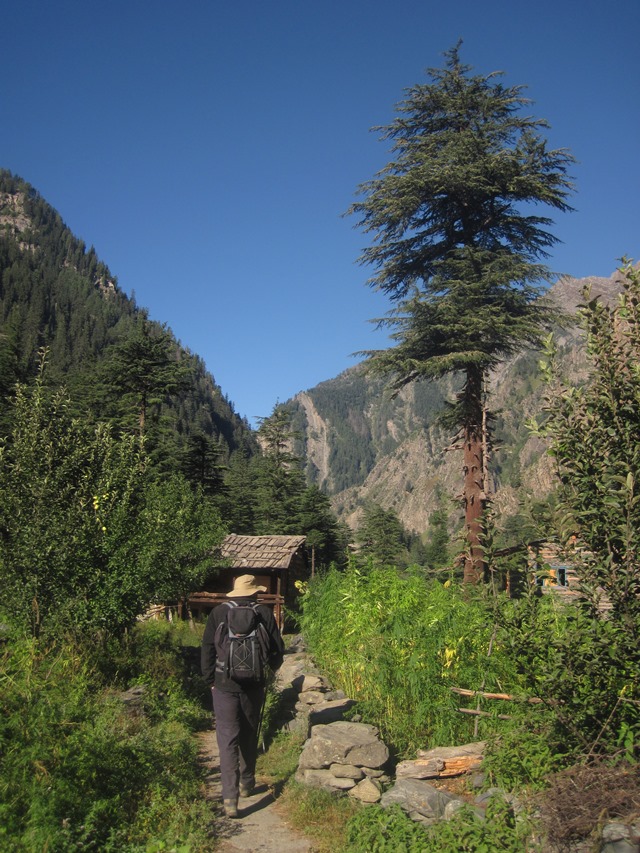 India NW:Himachal Pradesh, Across the Bara Bhangal and Dhaula Dhar Ranges , Beautiful Bara Bhangal village, Walkopedia