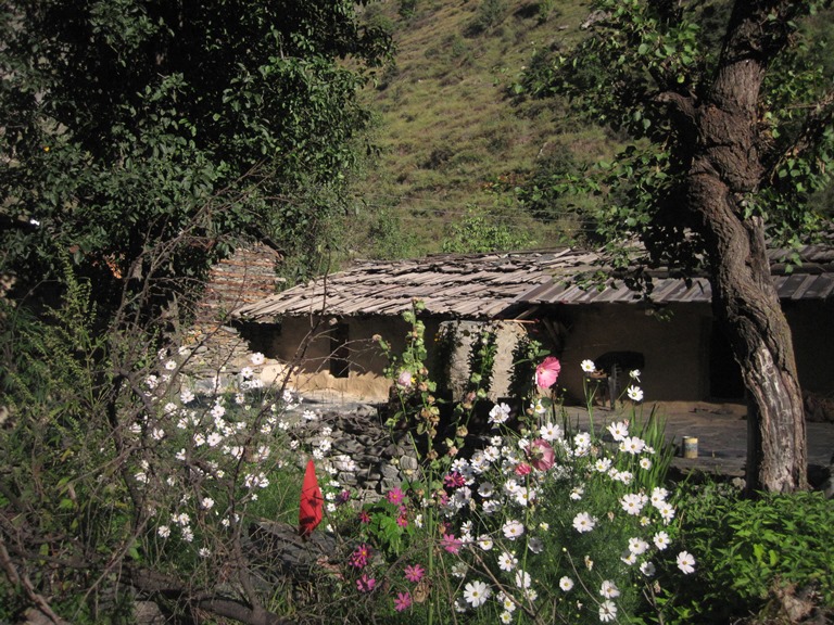 India NW:Himachal Pradesh, Across the Bara Bhangal and Dhaula Dhar Ranges , Beautiful Bara Bhangal village , Walkopedia