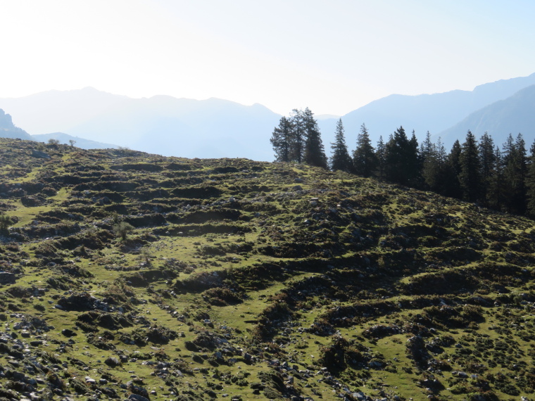 India NW: Uttarakhand/Garwhal, Nanda Devi Area, Curzon Trail Day 2, abandoned terracing, Walkopedia