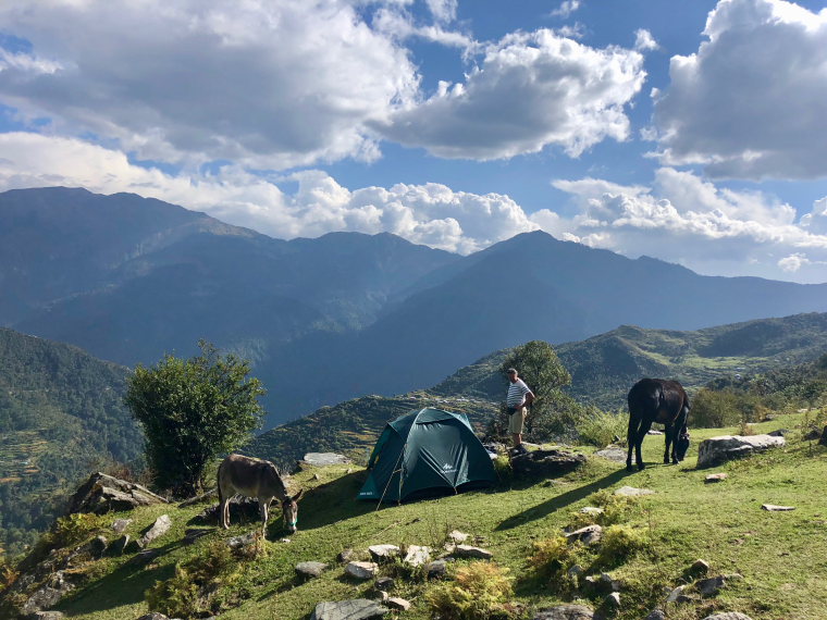 India NW: Uttarakhand/Garwhal, Nanda Devi Area, Curzon Trail campsite, Day 3 , Walkopedia