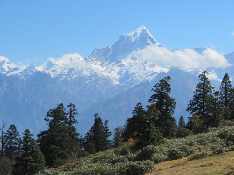 India NW: Uttarakhand/Garwhal, Nanda Devi Area, Curzon Trail, day 5, Walkopedia