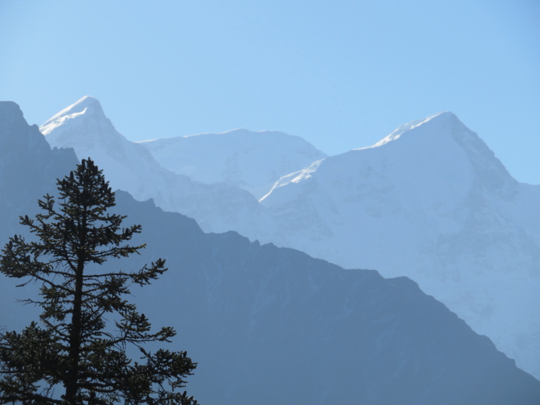 India NW: Uttarakhand/Garwhal, Nanda Devi Area, Curzon Trail, great  final day, Walkopedia