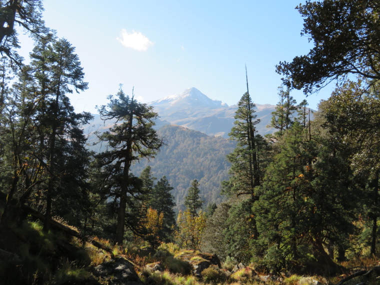 India NW: Uttarakhand/Garwhal, Nanda Devi Area, Curzon Trail, great  final day (2), Walkopedia