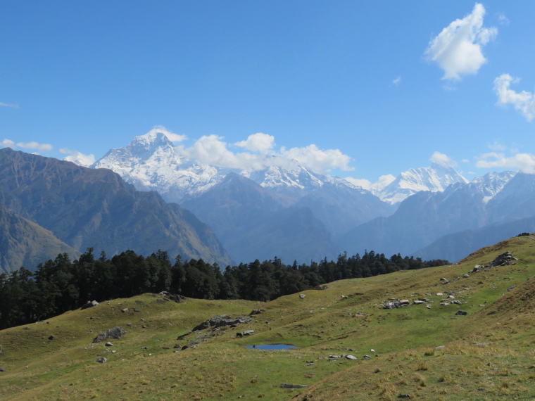 India NW: Uttarakhand/Garwhal, Nanda Devi Area, Curzon Trail, great  final day 6, Walkopedia