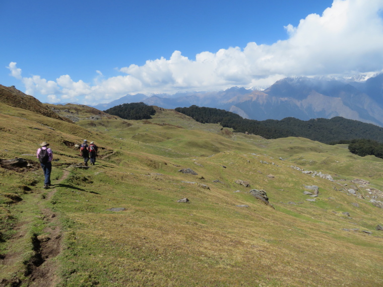 India NW: Uttarakhand/Garwhal, Nanda Devi Area, Curzon Trail, great  final day 7, Walkopedia