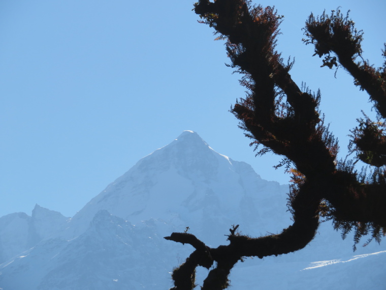 India NW: Uttarakhand/Garwhal, Nanda Devi Area, From Curzon Trail, Walkopedia