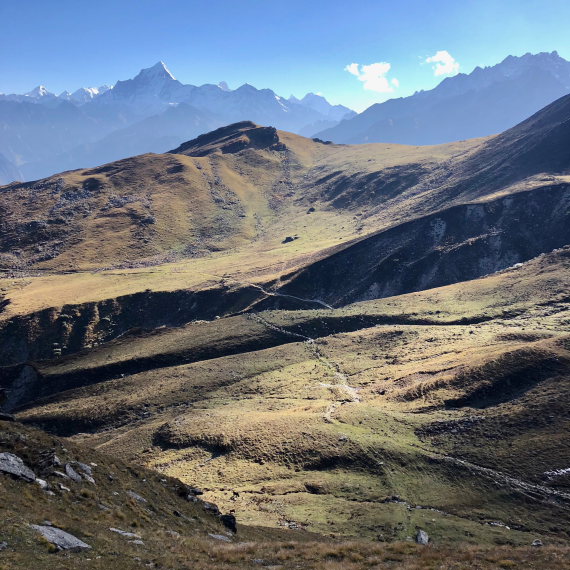 India NW: Uttarakhand/Garwhal, Nanda Devi Area, High ground near Kuari pass, Walkopedia