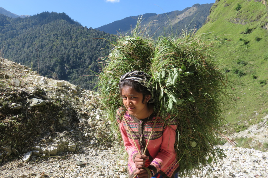 India NW: Uttarakhand/Garwhal, Nanda Devi Area, , Walkopedia