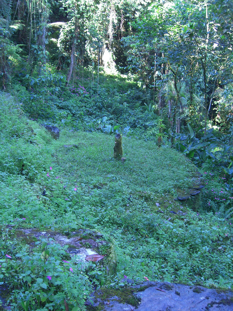 Colombia, Ciudad Perdida, Ciudad Perdida, Walkopedia