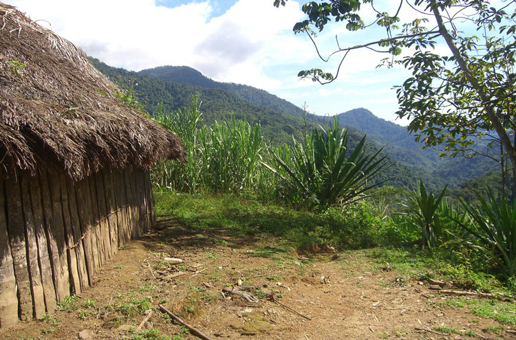 Colombia, Ciudad Perdida, Ciudad Perdida, Walkopedia