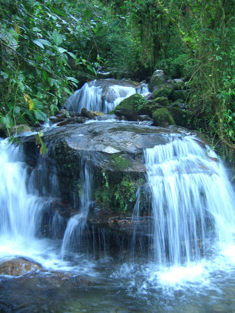 Colombia, Ciudad Perdida, Ciudad Perdida, Walkopedia