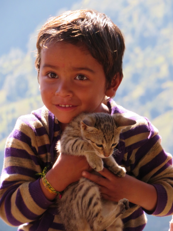 India NW: Uttarakhand/Garwhal, Kuari Pass (Curzon Trail) , , Walkopedia