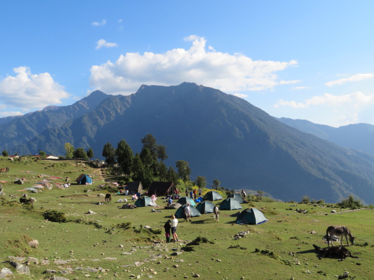 India NW: Uttarakhand/Garwhal, Kuari Pass (Curzon Trail) , Campsite, day 1, Walkopedia