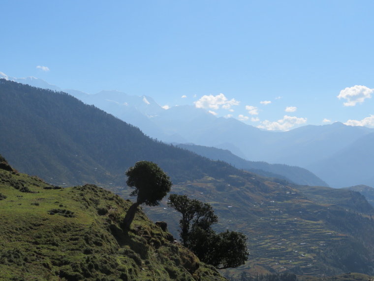 India NW: Uttarakhand/Garwhal, Kuari Pass (Curzon Trail) , , Walkopedia