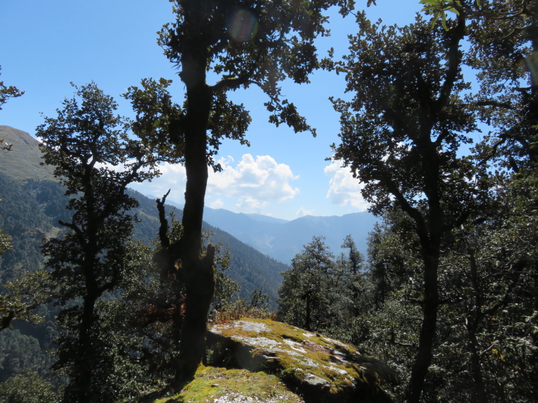 India NW: Uttarakhand/Garwhal, Kuari Pass (Curzon Trail) , , Walkopedia