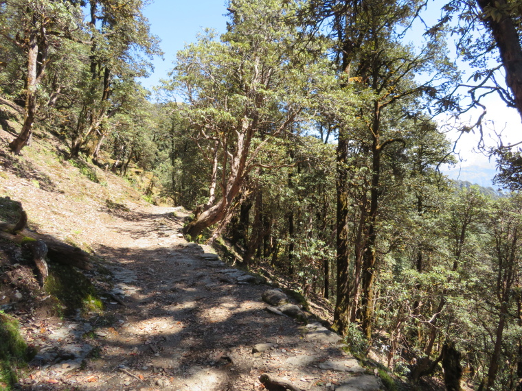 India NW: Uttarakhand/Garwhal, Kuari Pass (Curzon Trail) , , Walkopedia