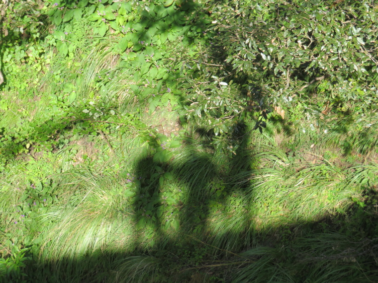 India NW: Uttarakhand/Garwhal, Kuari Pass (Curzon Trail) , , Walkopedia