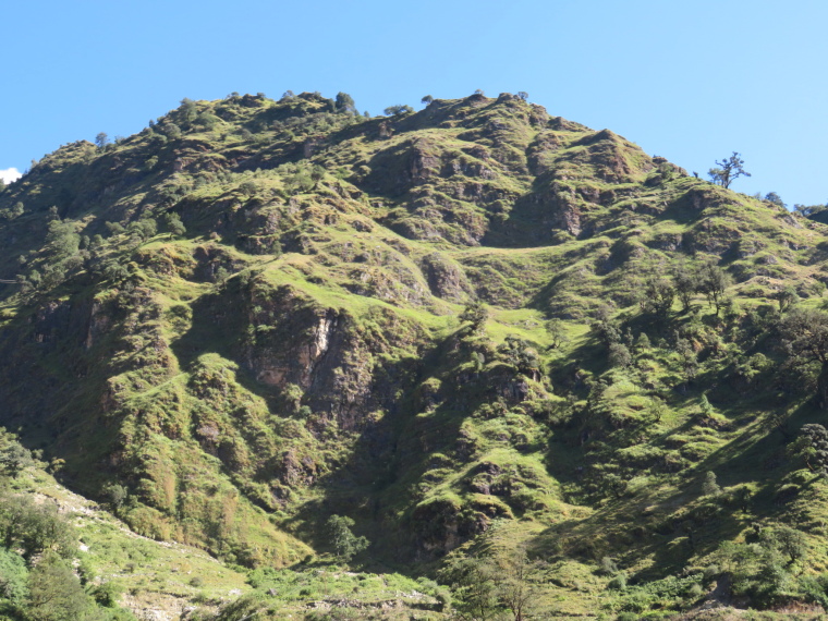 India NW: Uttarakhand/Garwhal, Kuari Pass (Curzon Trail) , , Walkopedia