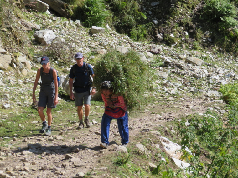 India NW: Uttarakhand/Garwhal, Kuari Pass (Curzon Trail) , , Walkopedia