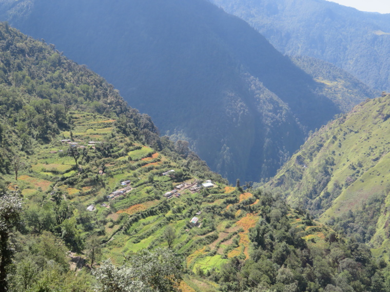 India NW: Uttarakhand/Garwhal, Kuari Pass (Curzon Trail) , , Walkopedia