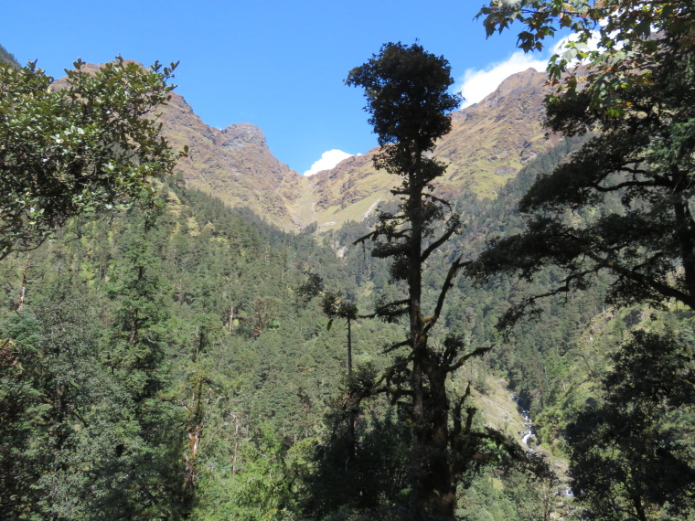 India NW: Uttarakhand/Garwhal, Kuari Pass (Curzon Trail) , Kuari Pass, Walkopedia