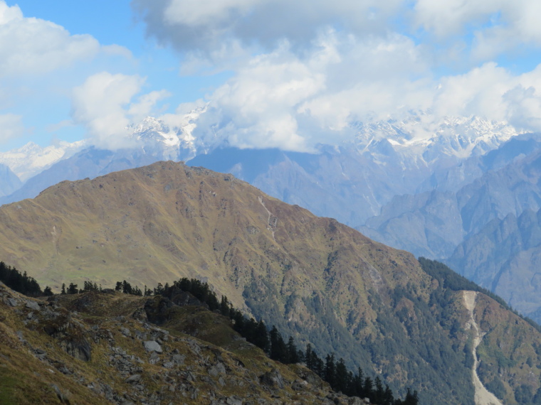 India NW: Uttarakhand/Garwhal, Kuari Pass (Curzon Trail) , Gorson Top, Walkopedia