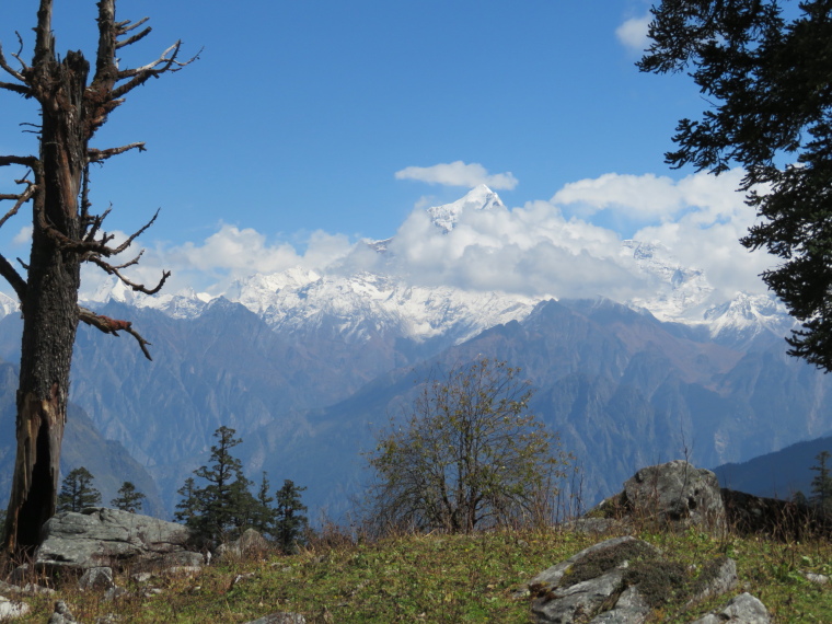 India NW: Uttarakhand/Garwhal, Kuari Pass (Curzon Trail) , , Walkopedia