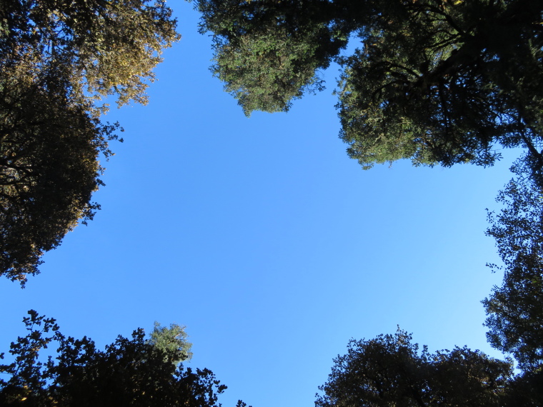 India NW: Uttarakhand/Garwhal, Kuari Pass (Curzon Trail) , , Walkopedia