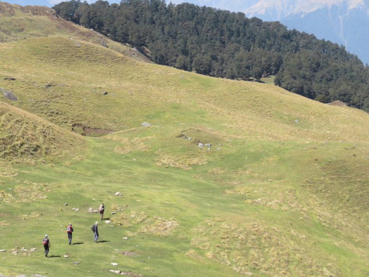 India NW: Uttarakhand/Garwhal, Kuari Pass (Curzon Trail) , , Walkopedia