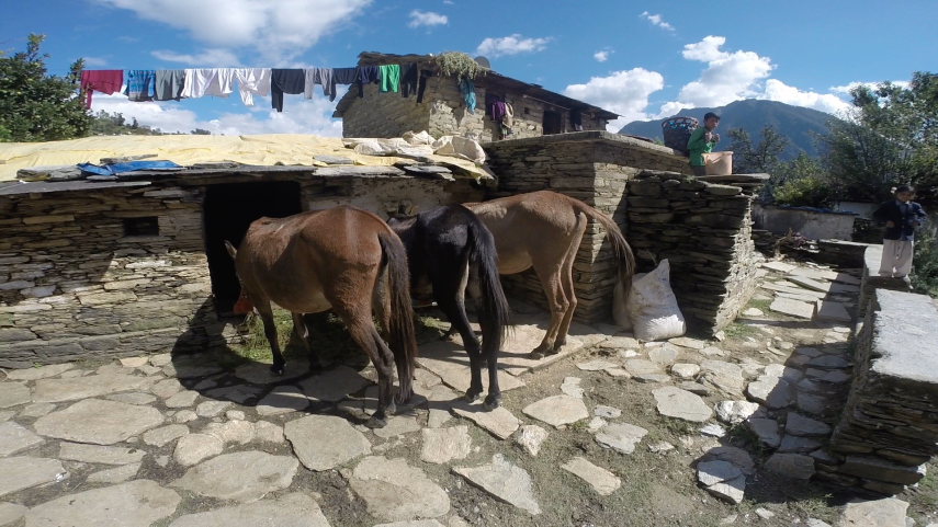 India NW: Uttarakhand/Garwhal, Kuari Pass (Curzon Trail) , , Walkopedia