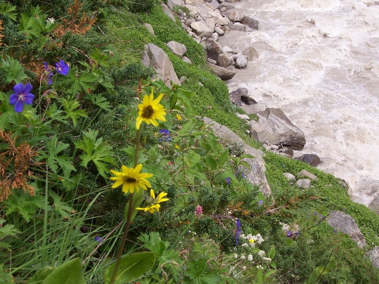 India NW:Himachal Pradesh, Pin Parbati Pass, Parbati River's edge, Walkopedia