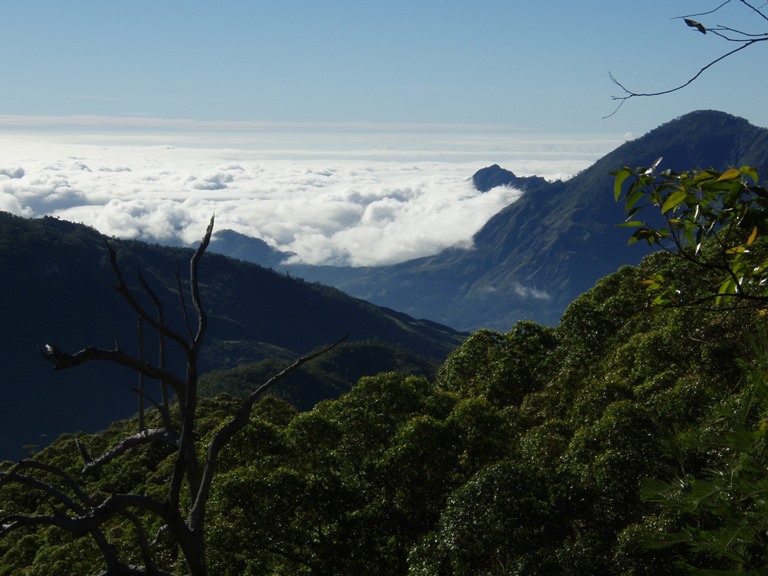 East Timor, Mt Ramelau, , Walkopedia