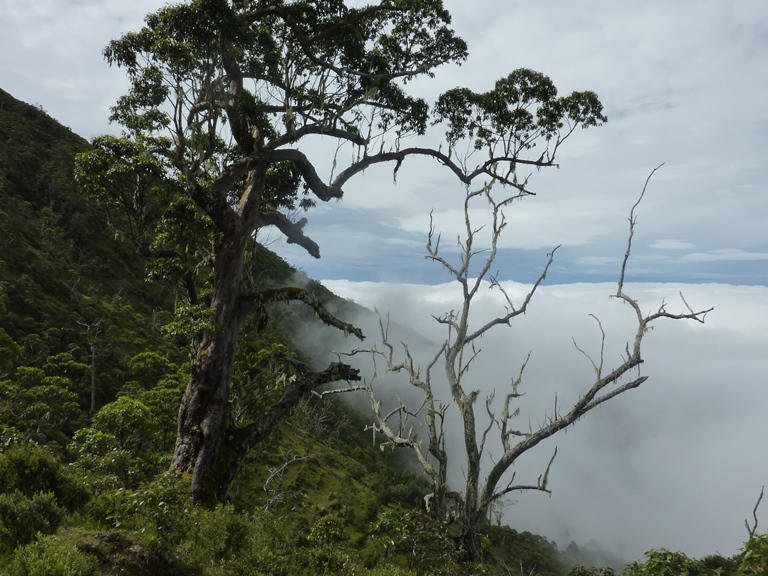 East Timor, Mt Ramelau, , Walkopedia