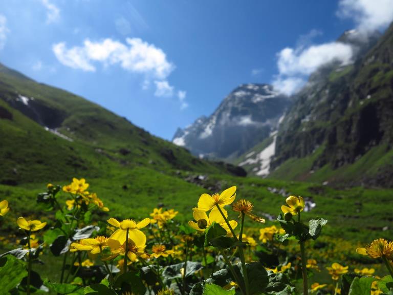 India NW:Himachal Pradesh, Hampta Pass, Hampta Pass , Walkopedia