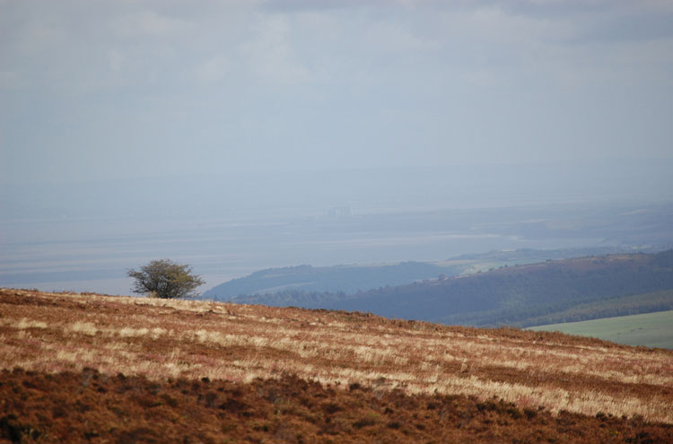 United Kingdom England South-west Exmoor, Dunkery Beacon, View From Dunkery Beacon, Walkopedia